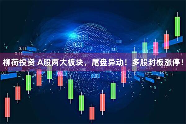 柳荷投资 A股两大板块，尾盘异动！多股封板涨停！