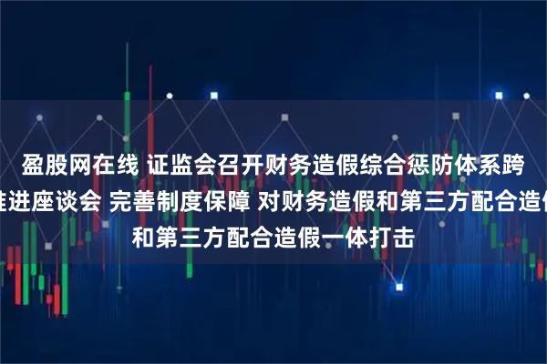 盈股网在线 证监会召开财务造假综合惩防体系跨部门工作推进座谈会 完善制度保障 对财务造假和第三方配合造假一体打击